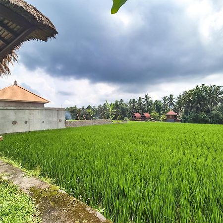 Villa Padi Menari Ubud  Exterior photo