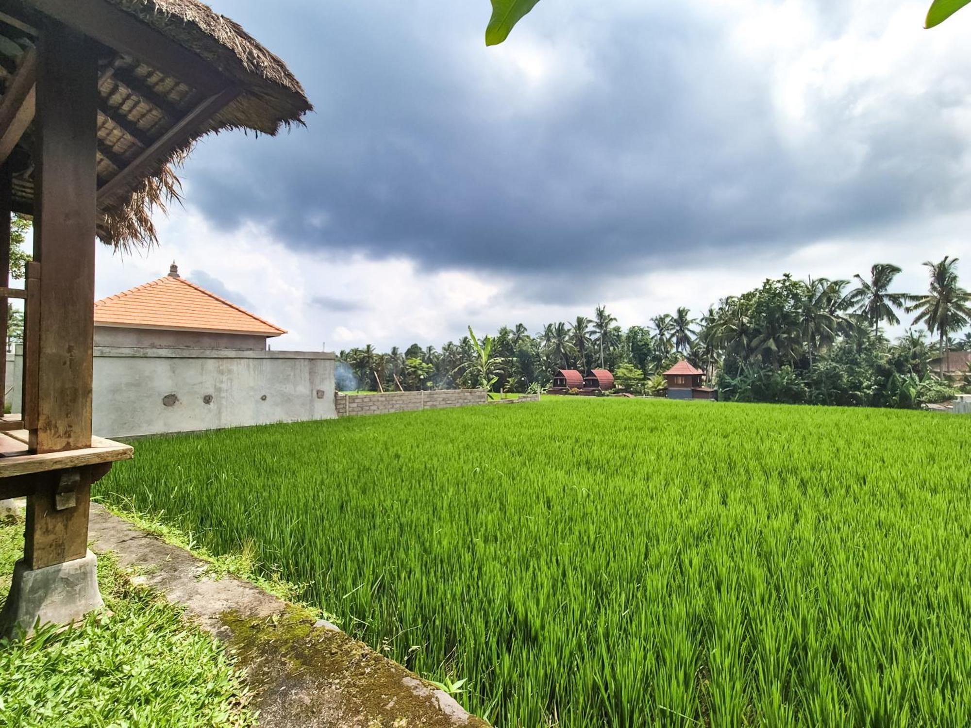 Villa Padi Menari Ubud  Exterior photo