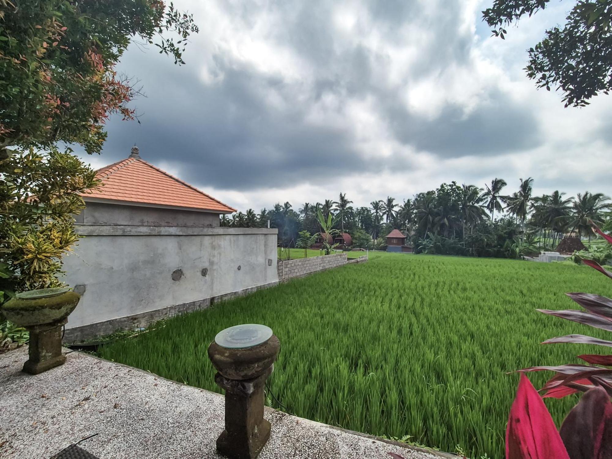 Villa Padi Menari Ubud  Exterior photo