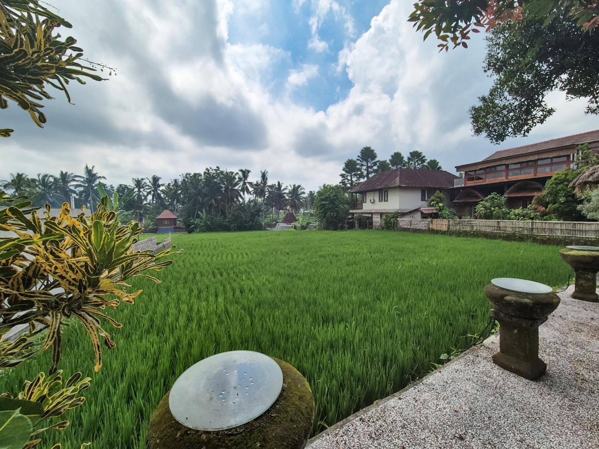 Villa Padi Menari Ubud  Exterior photo