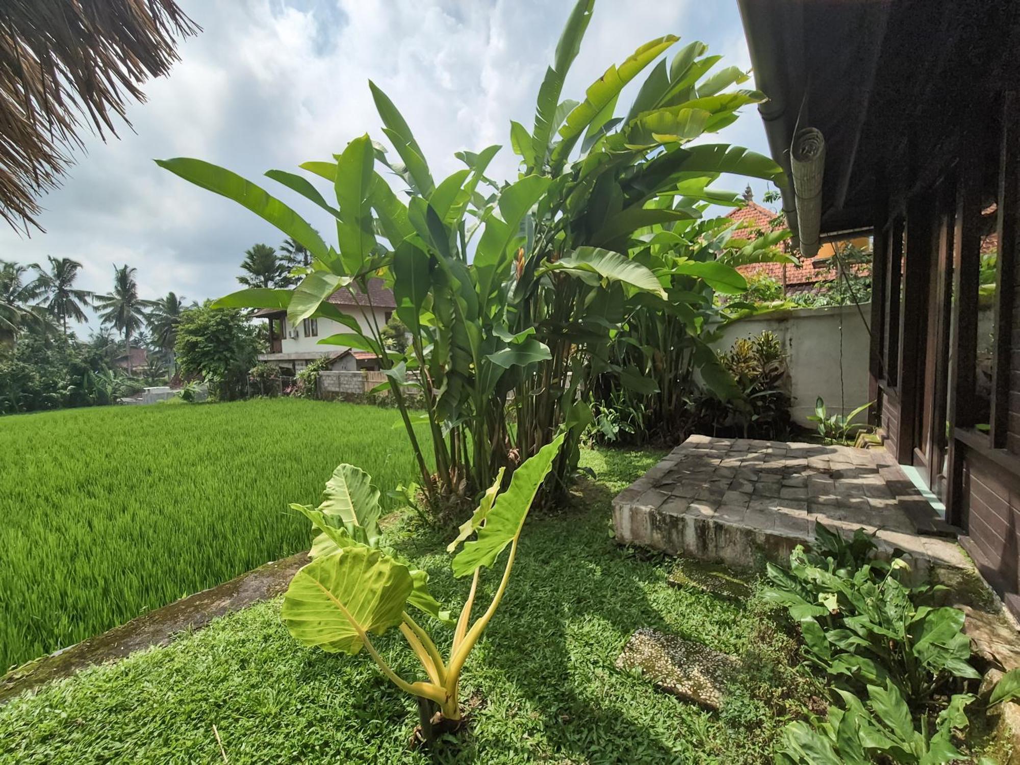 Villa Padi Menari Ubud  Exterior photo